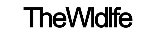 thewldlfe